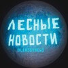 Логотип телеграм канала @lesnoynews — Лесные НОВОСТИ | РОЗЫГРЫШИ CS2