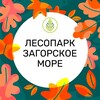 Логотип телеграм канала @lesoparkzagorskoemore — Лесопарк «Загорское море»