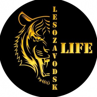 Логотип телеграм канала @lesozavodsk_life — ЛЕСОЗАВОДСК
