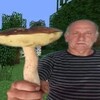 Логотип телеграм канала @lespoganok — лес поганок ⁶¹ˢᑫᵈ · 𝔨𝔞𝔩𝔶𝔞𝔨𝔦