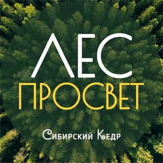 Логотип телеграм канала @lesprosvet — ЛесПросвет | Сибирский кедр