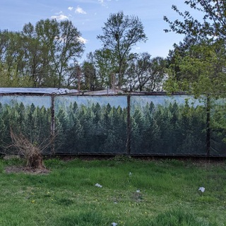 Логотип телеграм канала @lessisbore — less is a bore \ лес и забор 🌳🚧