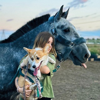 Логотип телеграм канала @lesyalosi001 — ✨LesyaLosi&Julienne&Baget✨