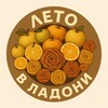 Логотип телеграм канала @letovladoni_life — ЛЕТОВЛАДОНИ