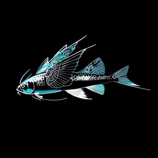 Логотип телеграм -каналу letriba — Летюча Риба