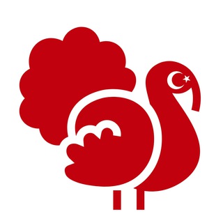 Логотип телеграм канала @lets_turkey — Образование и Жизнь в Турции