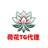 电报频道的标志 letsdaili — TG公益代理节点分享