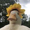 Логотип телеграм канала @letsgetduckspng — летс гет дакс