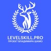 Логотип телеграм канала @levelskillpro — Онлайн-Школа LSP