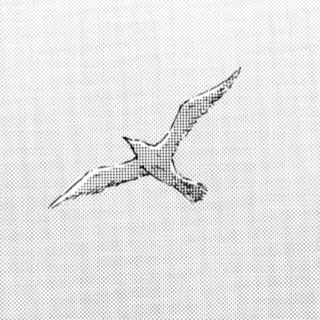 Логотип телеграм канала @levilevil — attack on titan