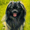 Логотип телеграм канала @levyschkaa — ЛЁВУШКА Приют для собак