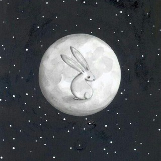 Telegram channel Moon🌙 logo