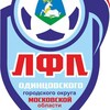 Логотип телеграм канала @lfl_odgo — ЛФЛ ОГО МО