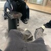 Логотип телеграм канала @lfrks — llfrks