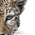 لوگوی کانال تلگرام lh8al — ﮼سَ💎
