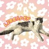 Логотип телеграм канала @libeadss — libeads | плинамка творит