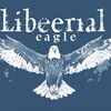 Логотип телеграм канала @liberalniy_orlik — ЛО | Либеральный Орёл