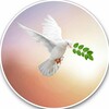 Логотип телеграм канала @liberalufa — Уфа за демократию