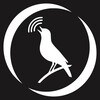 Логотип телеграм канала @libertarian_trill — Либертарная трель