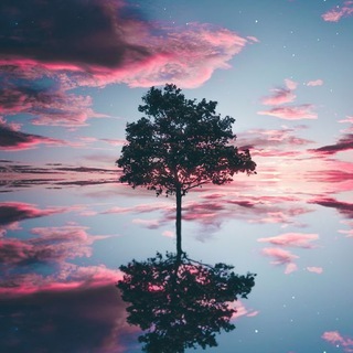 Logo des Telegrammkanals libertementalite - Liberté & Mentalité