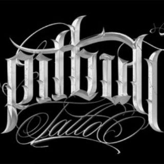 Логотип телеграм канала @libpitbull — GCam.PitbulL