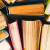 Telegram channel Librejo: libroj en Esperanto logo