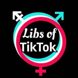 Logo of telegram channel libsoftiktok — Libs of TikTok