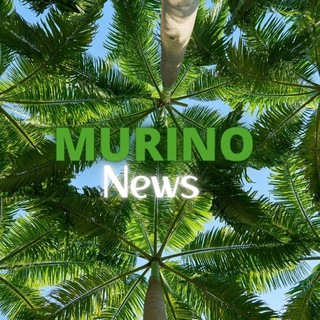 Logo saluran telegram life_in_murino — Жизнь в Мурино|News
