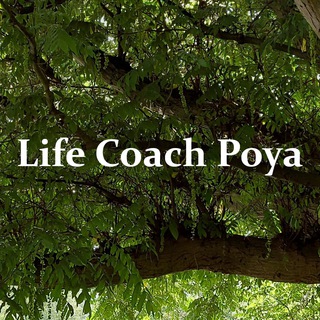 لوگوی کانال تلگرام lifecoachpoya — Life Coach Poya