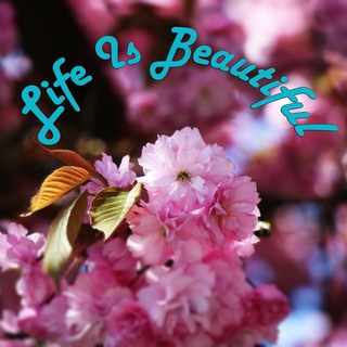 Logo des Telegrammkanals lifeisbeautifuul - Life is beautiful