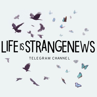 لوگوی کانال تلگرام lifeisstrangenews — Life Is Strange News