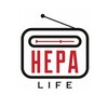 Логотип телеграм канала @lifenera — NeraLife