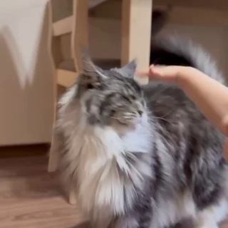 Логотип телеграм канала @lifeoffive — О жизни впятером 🤪