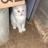 Логотип телеграм канала @lifeofsamat — Жизнь Самата