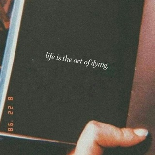 Logo of telegram channel lifequoteslink — Life quote📃