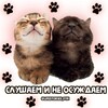 Логотип телеграм канала @lifestories_pyk — слушаем и не осуждаем