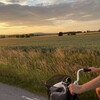 Логотип телеграм канала @lifetinka — Жизнь Тинки