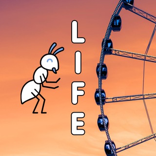 Логотип телеграм канала @lifevgorode — LIFE | МОСКВА