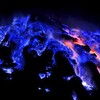 Логотип телеграм канала @lifopnews — ЛИФОП | Природа | Интересные факты