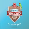 Telegram channel Лига Гимнастики logo
