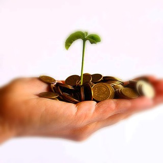 Логотип телеграм канала @lightbiznes — LightMoney💶