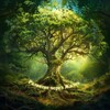 Логотип телеграм канала @lightoftransformation — Развитие через Жизнь
