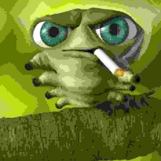 Логотип телеграм канала @ligushatnik_1 — Лягушатник