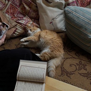 Telegram kanalining logotibi lii7is — سمىه