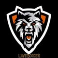 Telegram channel LiveSoccer logo