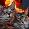 Логотип телеграм канала @likastress — МАТЬ КОТОВ