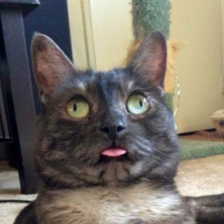 Логотип телеграм канала @likeandlaugh — Улыбаемся и пашем!