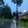 Логотип телеграм канала @likefromrosson — на Россони любят..