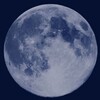 Логотип телеграм канала @lila_panic — Moon Light