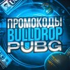 Логотип телеграм канала @lilbronxpubg — ПРОМОКОДЫ BULLDROP PUBG